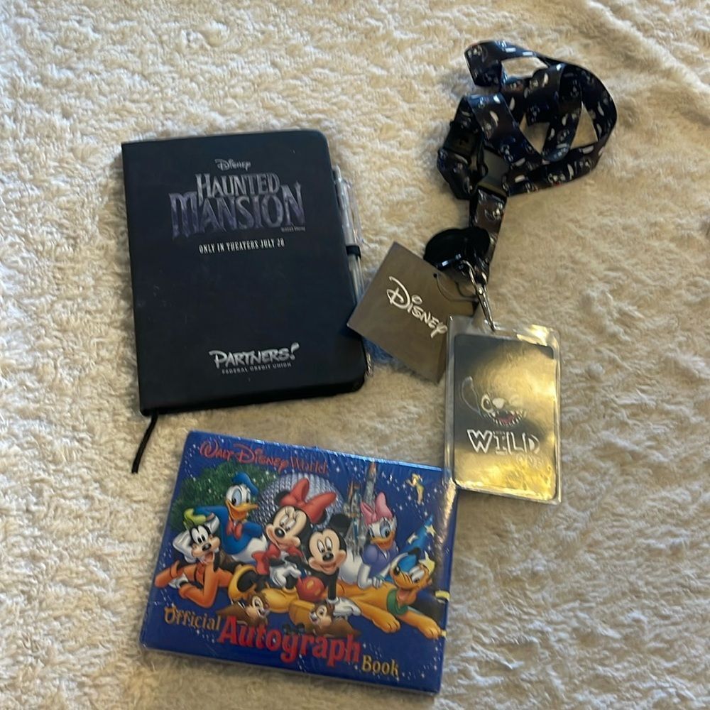 Disney item bundle